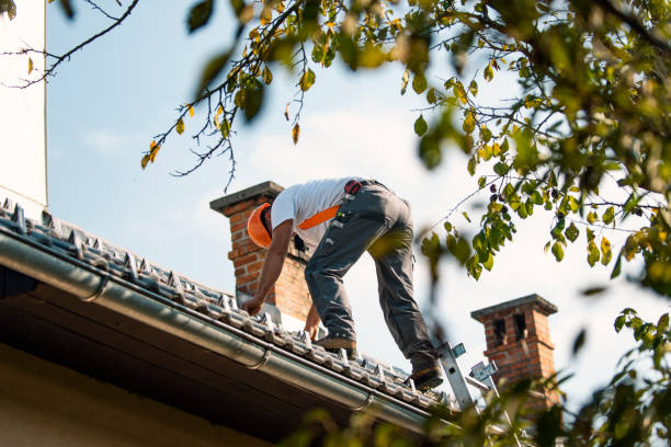 Best Residential Roof Replacement  in Morton, MS