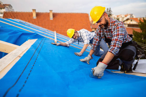 Best Metal Roofing Contractor  in Morton, MS