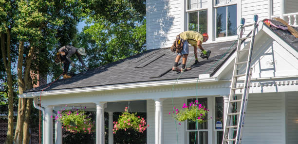 Best Gutter Installation and Roofing  in Morton, MS