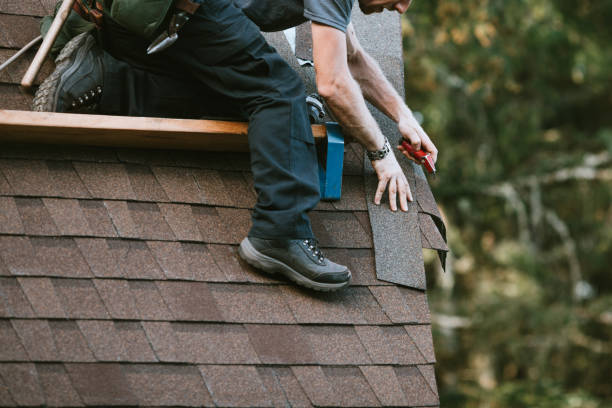 Best Roof Gutter Cleaning  in Morton, MS